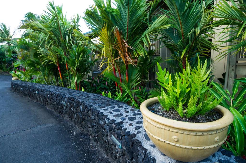 Zahrada ubytování Hana Kai Maui - #101 Kaʻuiki premium oceanview 1 BR