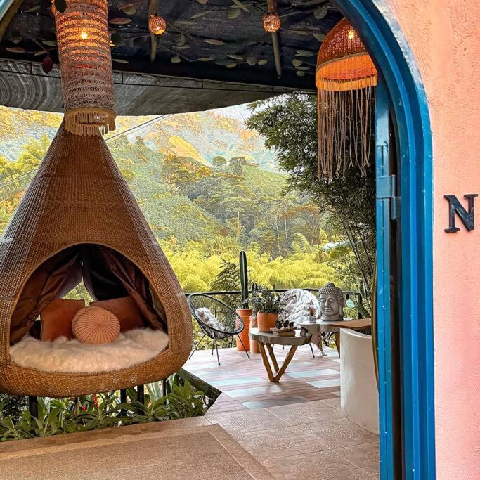 A garden outside Intrepido Glamping