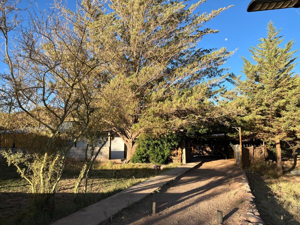 Foto sihtkohas San Pedro de Atacama asuva majutusasutuse Hostal Piedrita de Rio galeriist