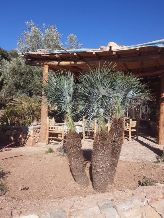 Fotografie z fotogalerie ubytování Kasbah Timdaf v destinaci Demnat