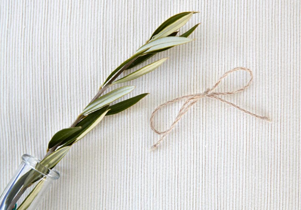 Altana Heritage Suites - 6