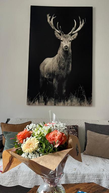 Gite BI UNS chez Silvana – photo 18