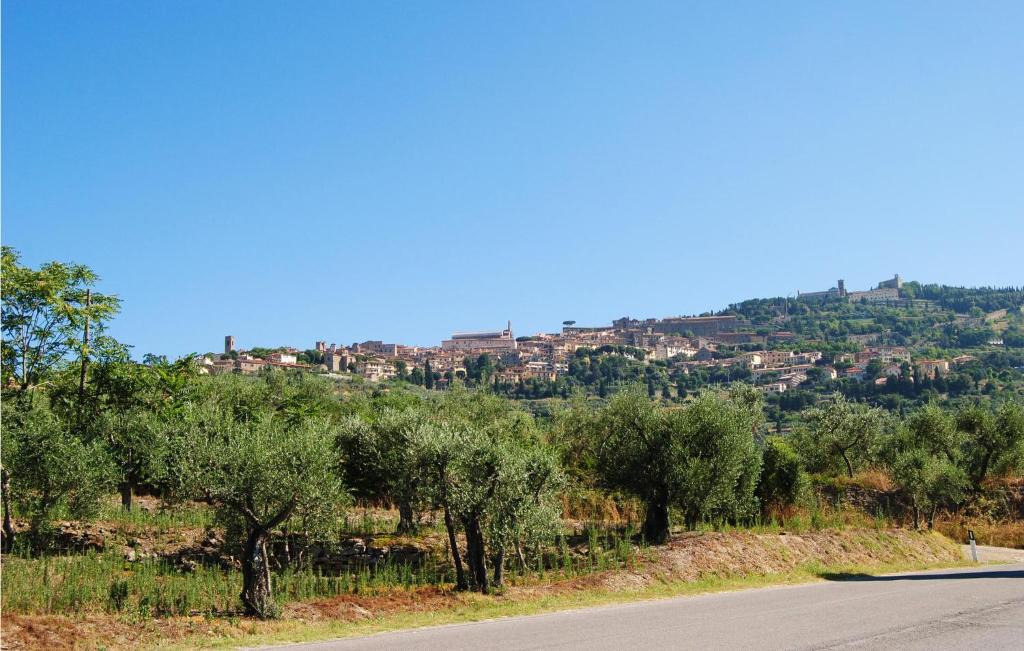 Fotografie z fotogalerie ubytování Villa Margherita v destinaci Poggioni