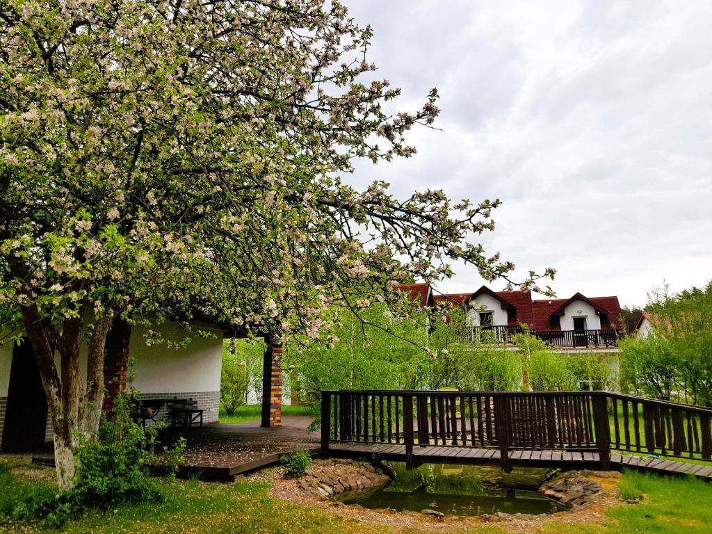 Zahrada ubytování Ośrodek nad jeziorem - Radew Rosnowo