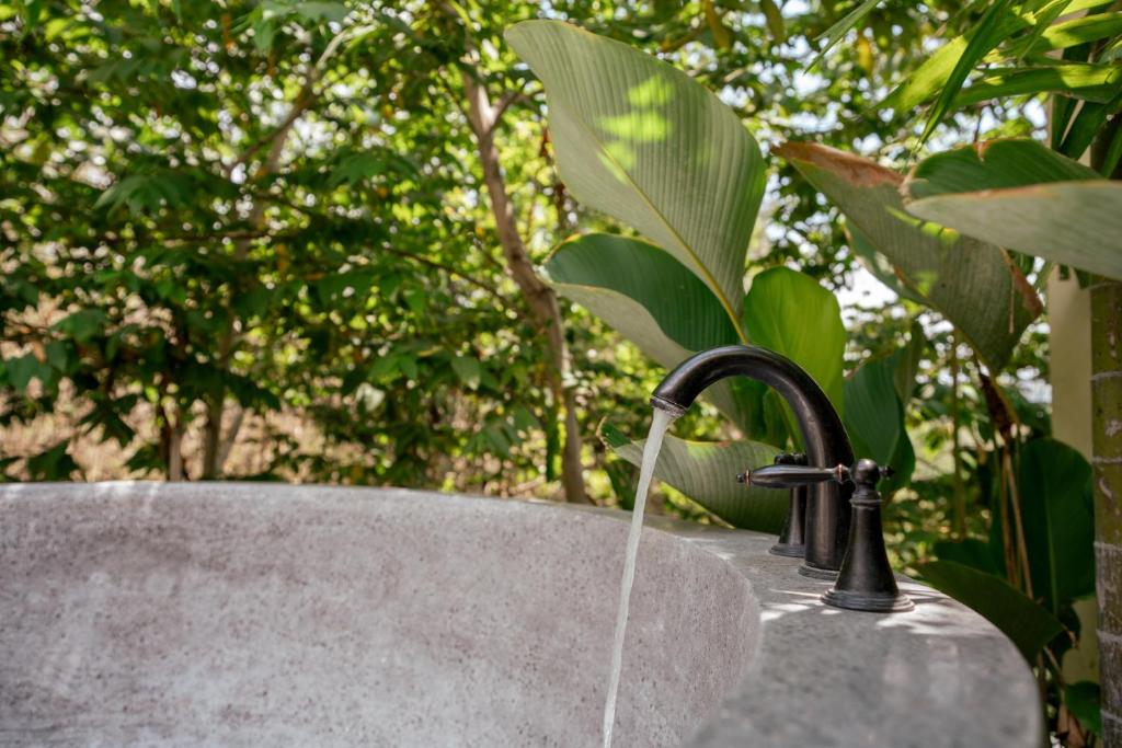 Zahrada ubytování Olea Villas Resort