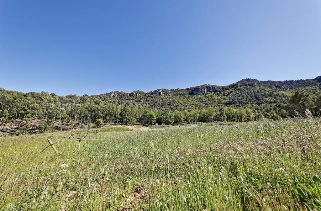 Naturlandschaft in der Nähe der Villa