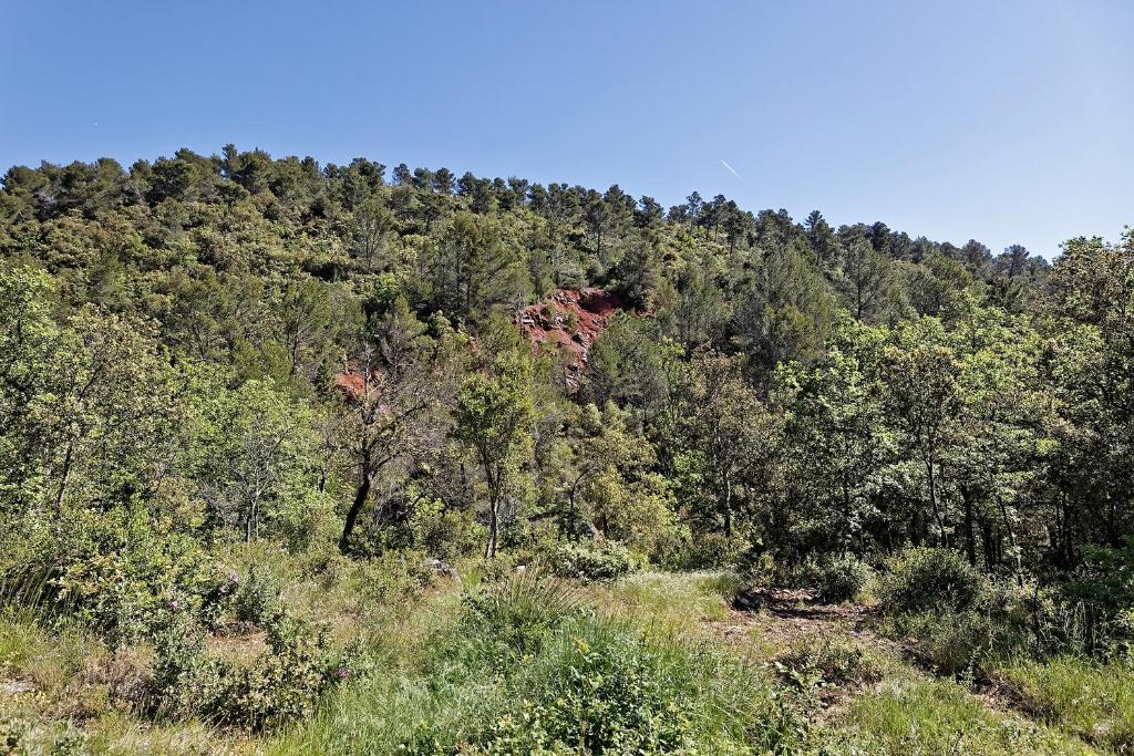Naturlandschaft in der Nähe der Villa