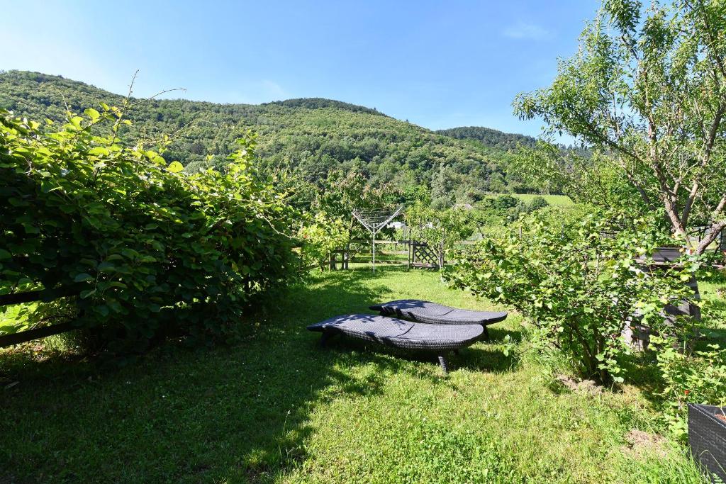 Pâquerettes - Maison avec Jardin et Parking – photo 3