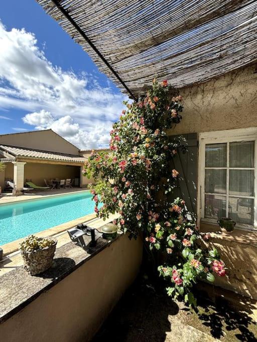 une plante sur le côté d'une maison avec piscine dans l'établissement Superbe Mas en Pierre, Piscine, Boulodrome, 14 pers, à Sarrians