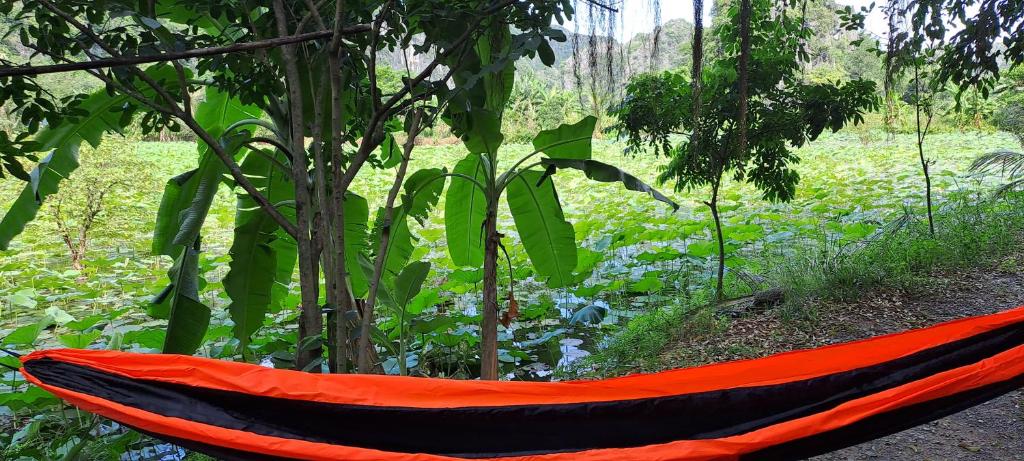 Thung Sen Tam Coc Chalets - 11