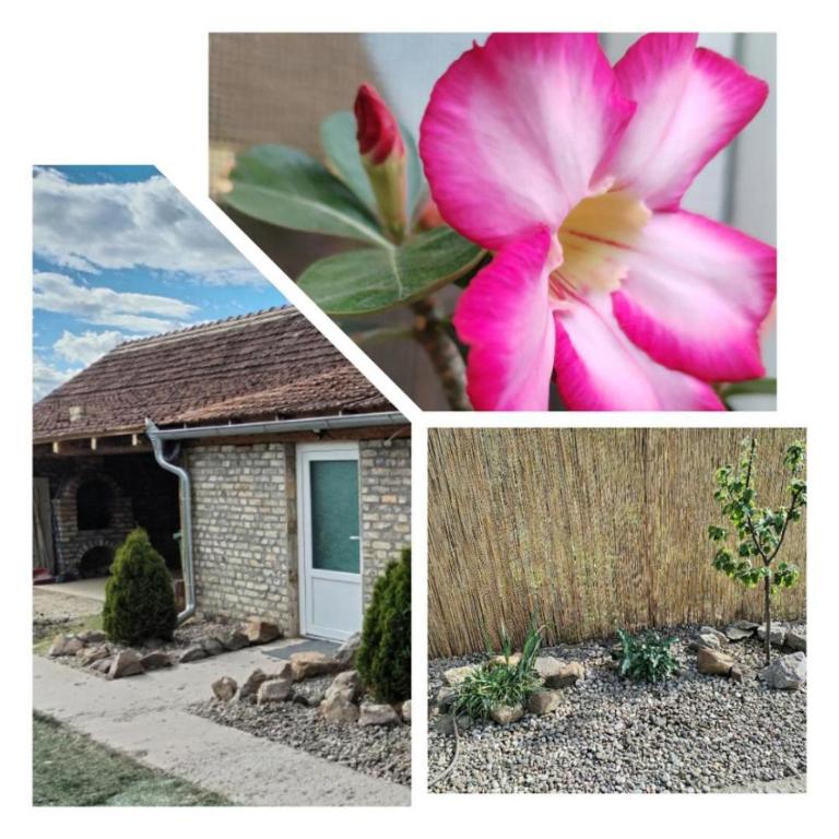 a collage of pictures of a house and a pink flower at Margit Haus in Stara Moravica