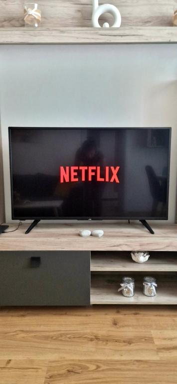 TV a/nebo společenská místnost v ubytování Apartamentul GAVIOTA