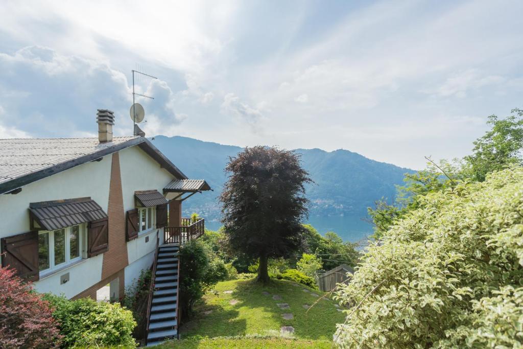 Táj Show holiday homes közelében
