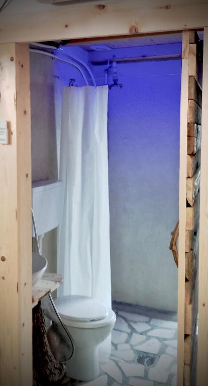 Kúpeľňa v ubytovaní Agriturismo Parco dai Nonni