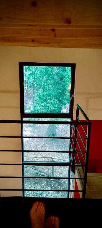 Balkón alebo terasa v ubytovaní Agriturismo Parco dai Nonni