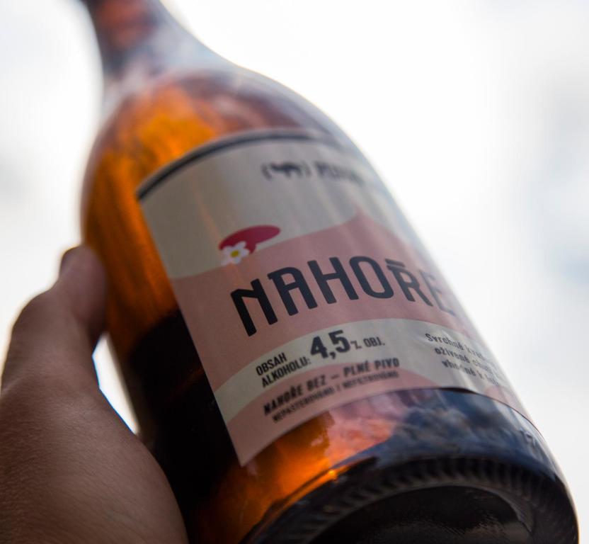 Hotel Purkmistr Beer & Spa Resort - 8