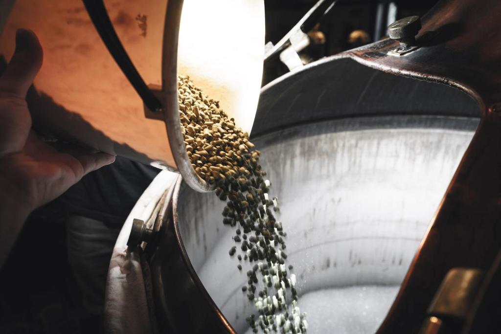 Hotel Purkmistr Beer & Spa Resort - 11