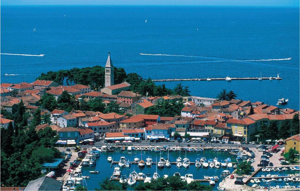 Príroda v okolí dovolenkového domu