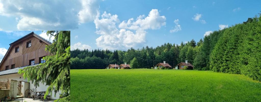 Zahrada ubytování Chatky a apartmány Apollo na Vysočině