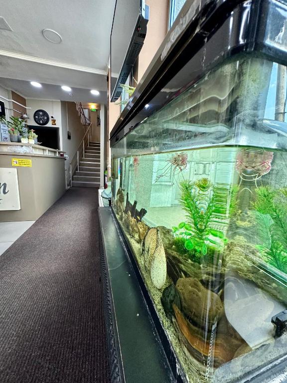 Lion's Hotel - Resim 34