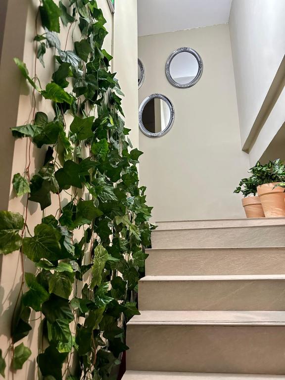 Lion's Hotel - Resim 23