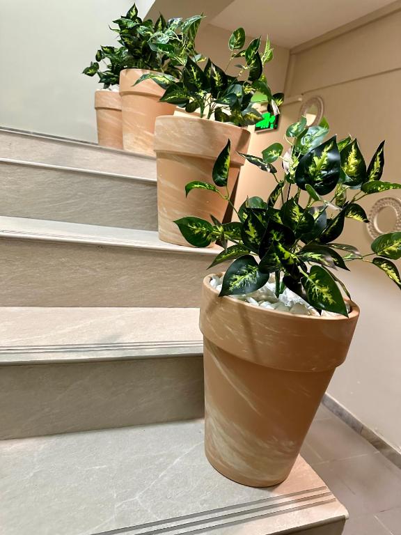 Lion's Hotel - Resim 21