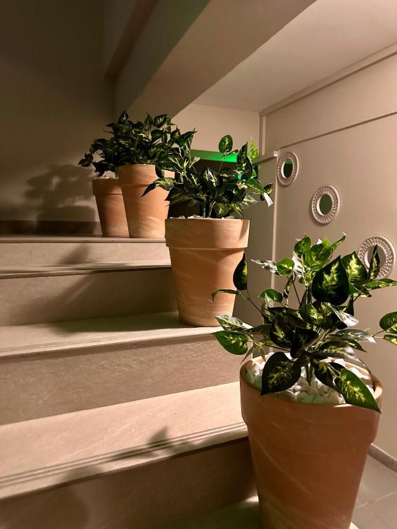 Lion's Hotel - Resim 22