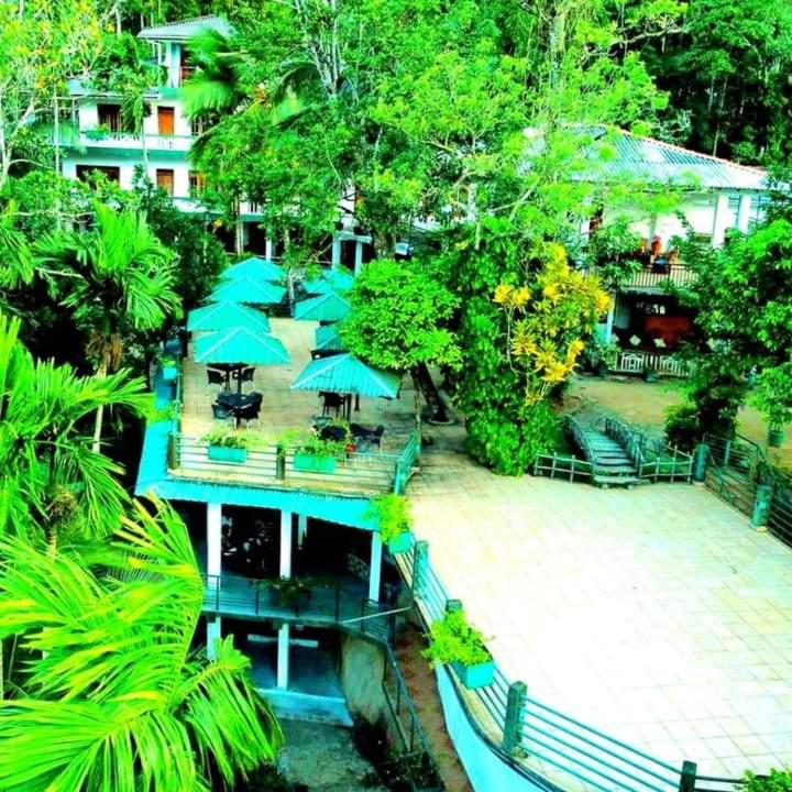 Zahrada ubytování Rainforest Lodge, Deniyaya singheraja