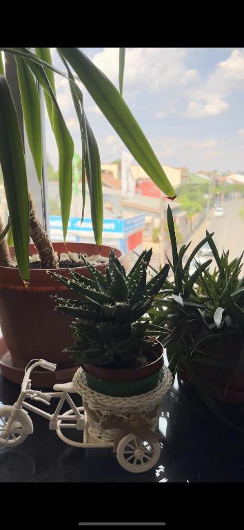 Lion's Hotel - Resim 37