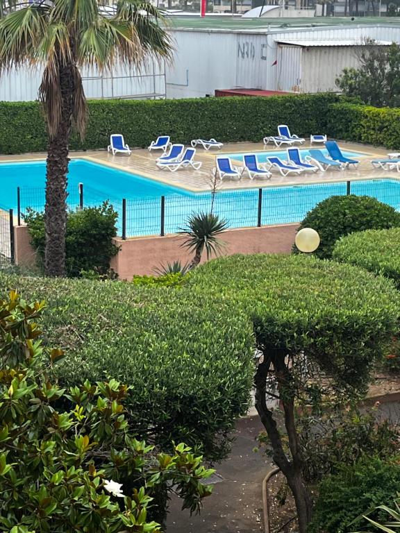 une piscine avec des chaises longues et un palmier dans l'établissement Vacances mer piscine Méditerranée Le Cap d’agde studio cabine parking et 2 plages à 250 Mètres, au Cap d'Agde