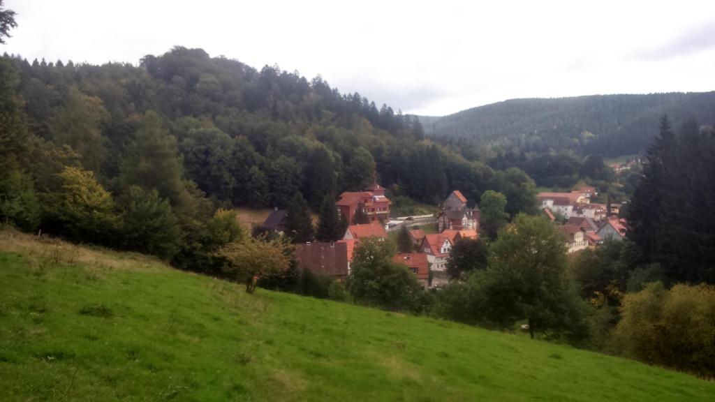 Příroda nedaleko penzionu