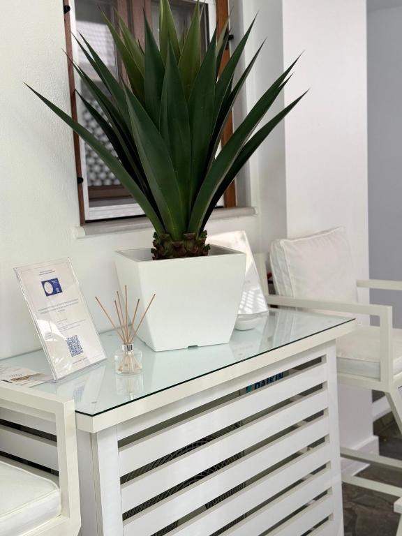 Fotografie z fotogalerie ubytování Amaryllis House v destinaci Platamonas