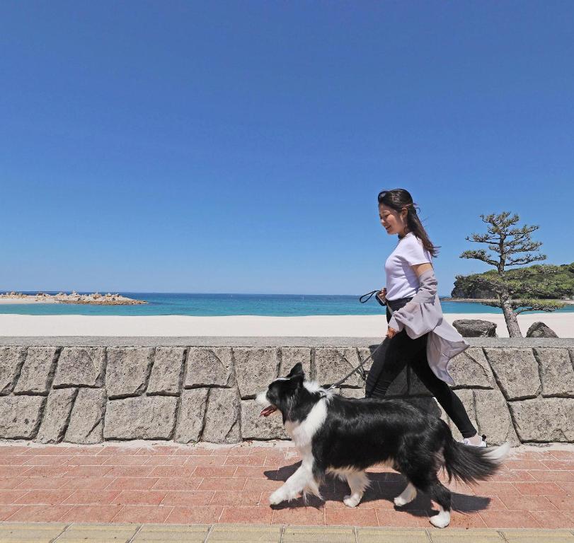 Hosté ubytování Nanki Shirahama Dog Paradise