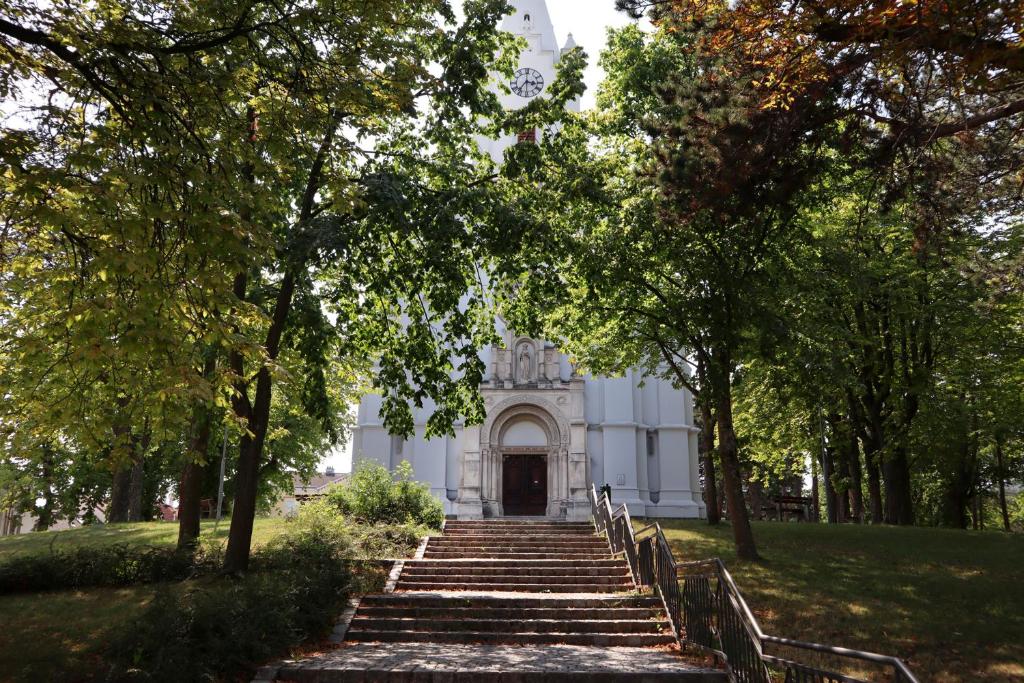 Zahrada ubytování Villa Pazelt Top2