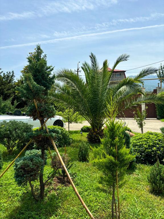 Zahrada ubytování Villa Qero