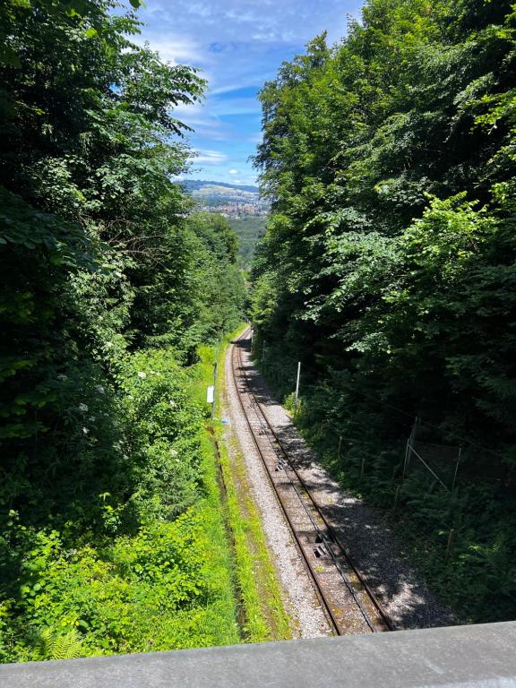 Apartments in Bern - Green Relax - Resim 14