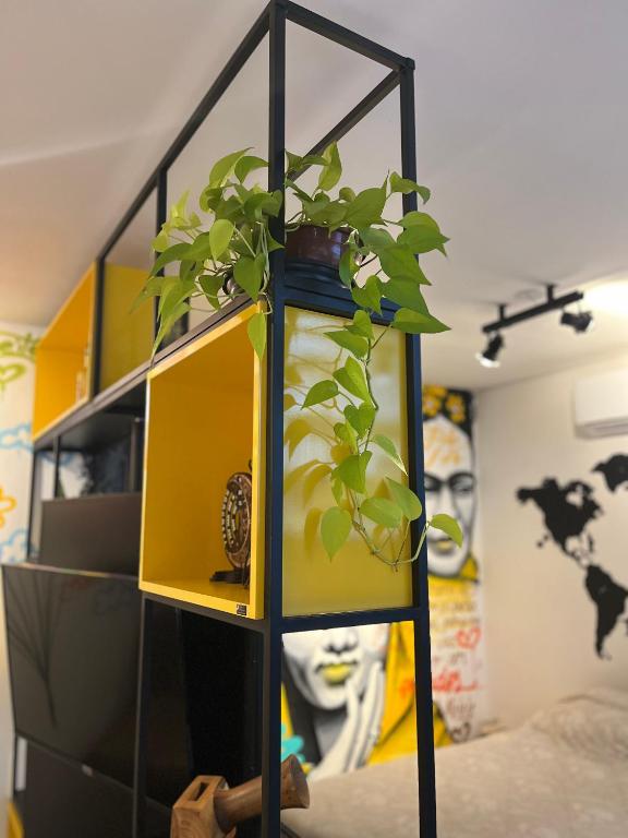 Fotografie z fotogalerie ubytování Flat Libertad, 404 A, com vaga de garagem v destinaci Pelotas
