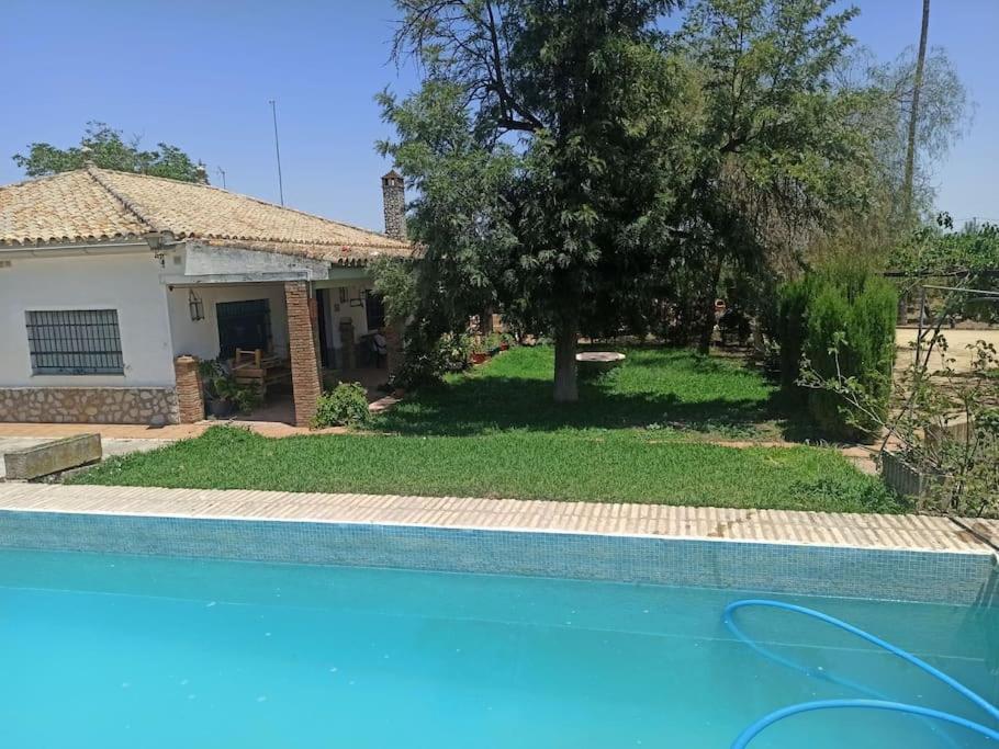 a house with a swimming pool in front of a house at Finca Rústica La Palmera in Utrera