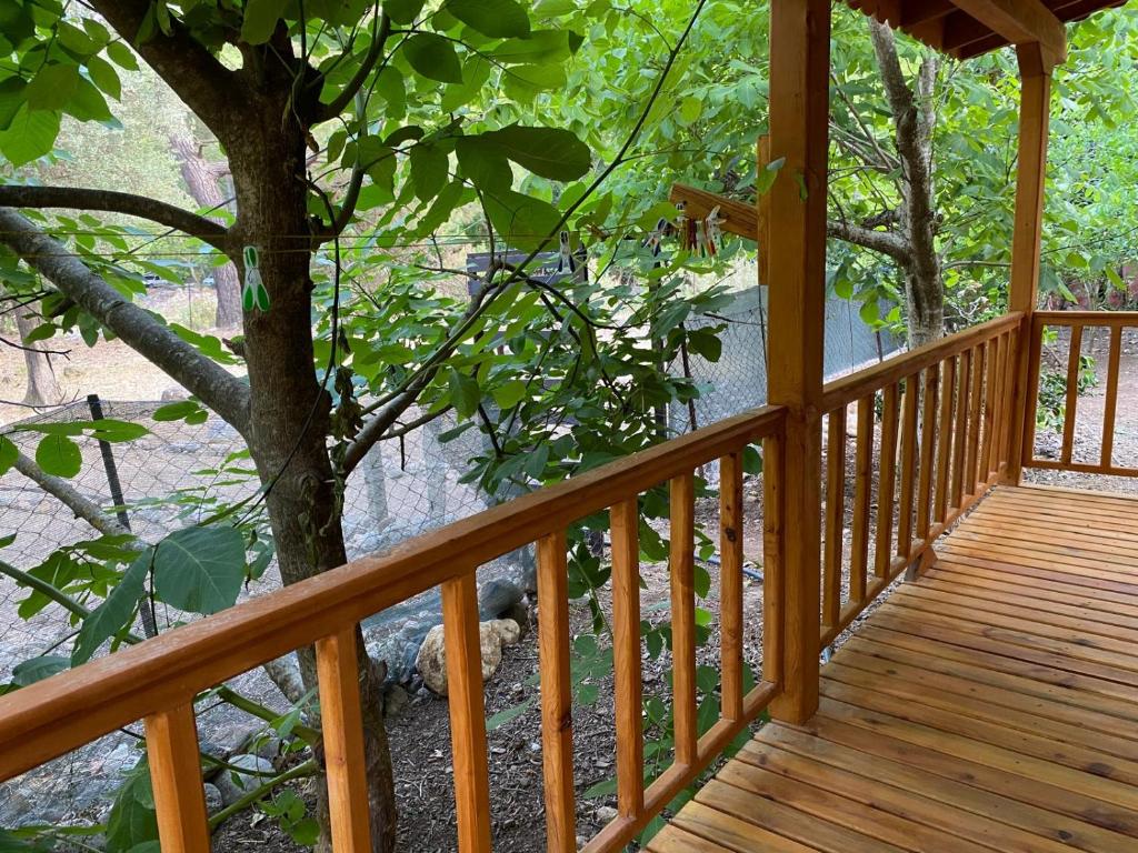 Canario Bungalows - 16