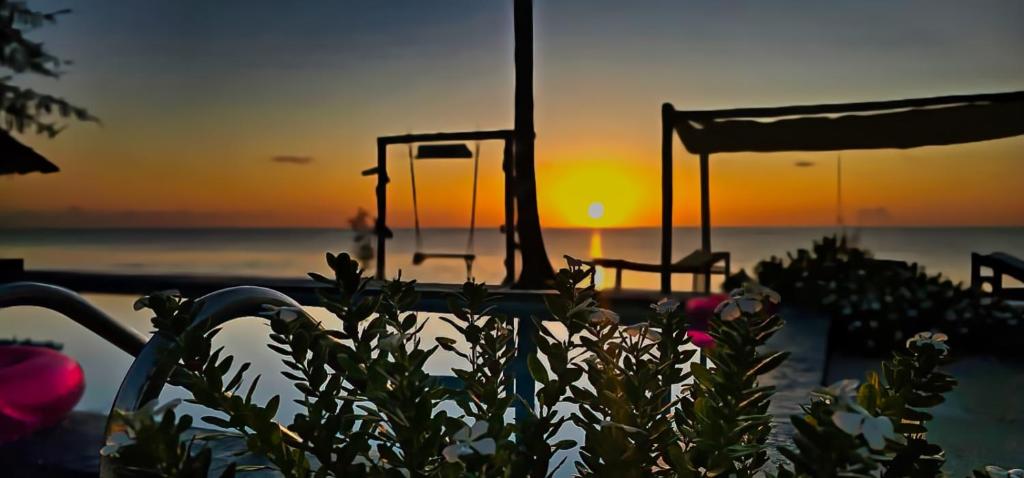 a sunset over the ocean with a plant in the foreground at AVO Boutique Hotel in Dikoni