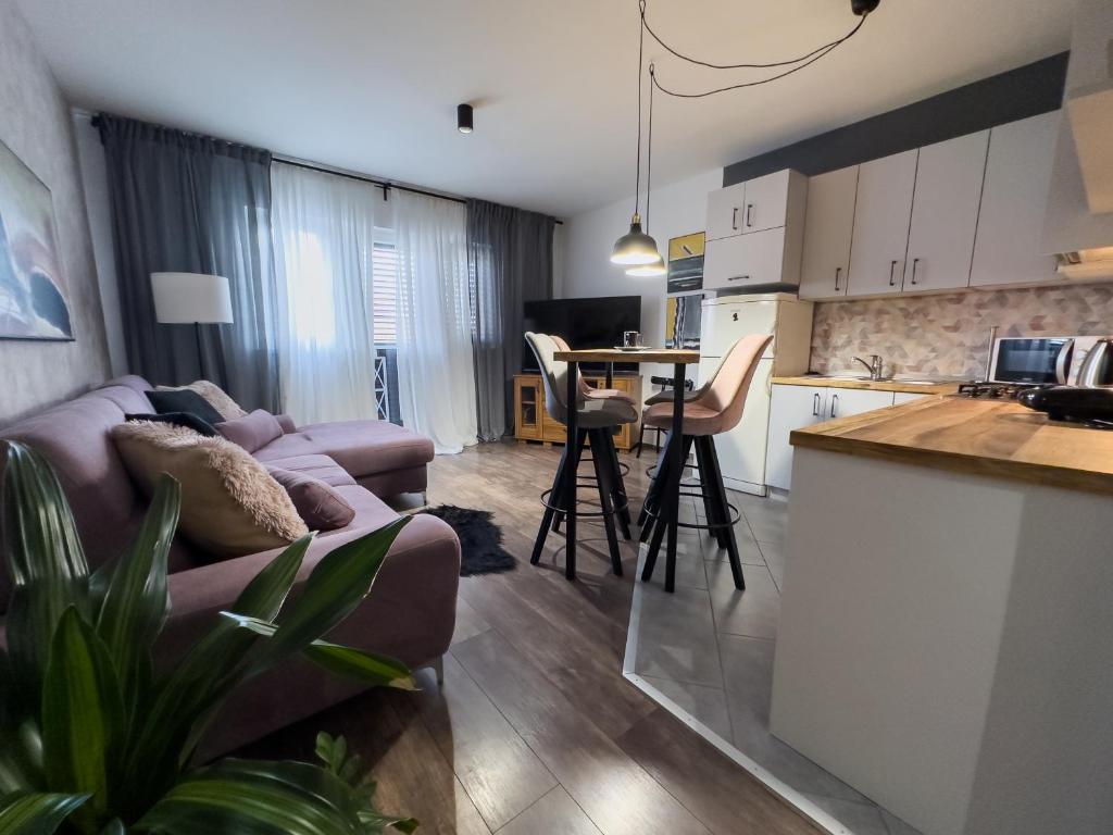 a kitchen and living room with a couch and a table at Istria Symphony Apartment in Labin