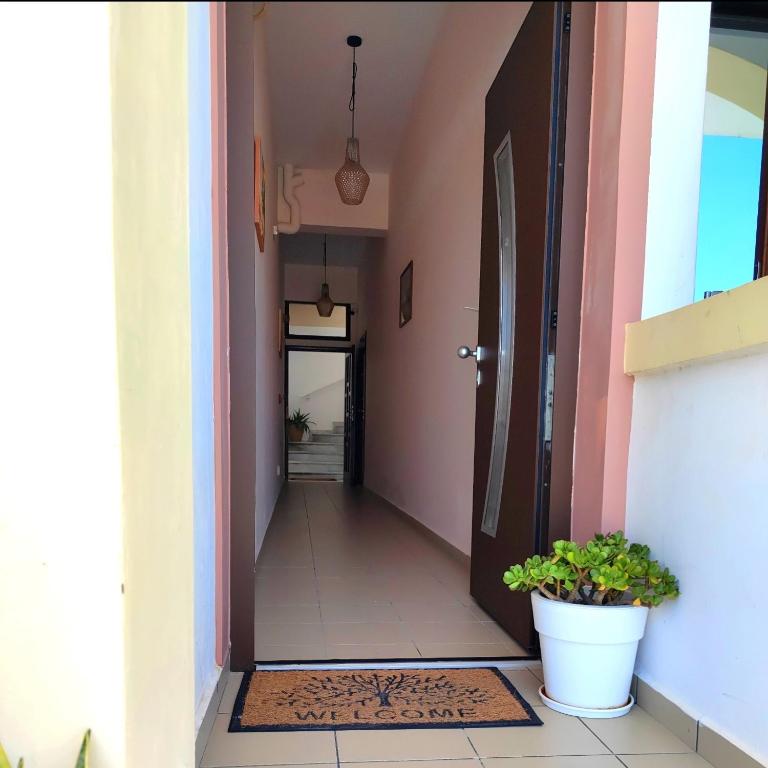 Kuchyň nebo kuchyňský kout v ubytování Borianoula Apartments