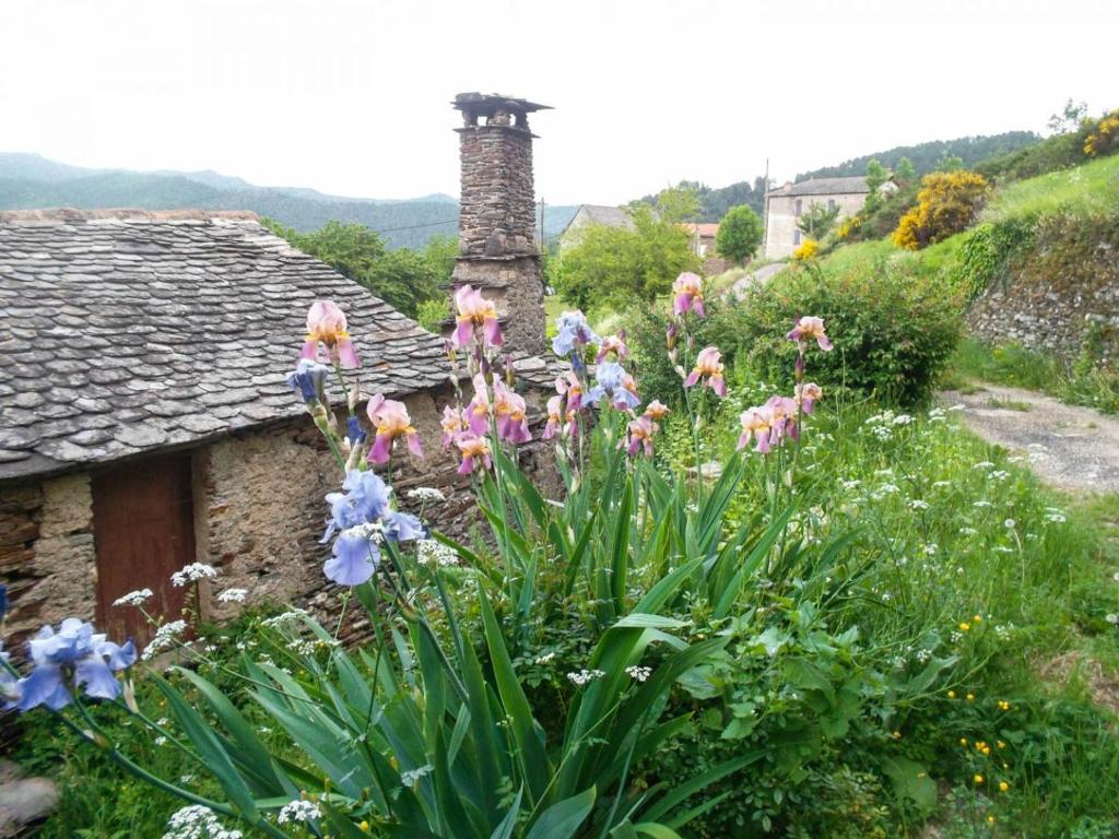 a garden with flowers in front of a house at Gîte Maison Cavalier 2/4 personnes à Gabriac in Gabriac