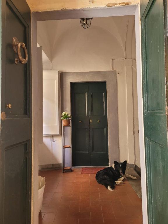 Fotografie z fotogalerie ubytování Casa Fresia centro storico Poppi v destinaci Poppi