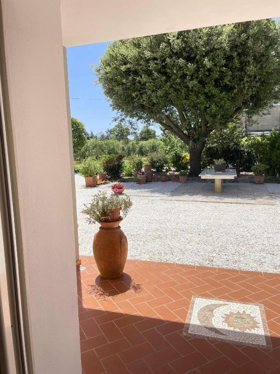 Il Leccio Agriturismo - 一卧室公寓