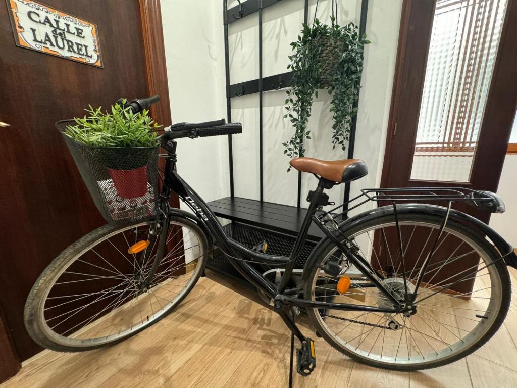 Ποδηλασία στο BIKE APARTMENT next to Cathedral and Laurel by Apartamentos Logrono org ή στη γύρω περιοχή