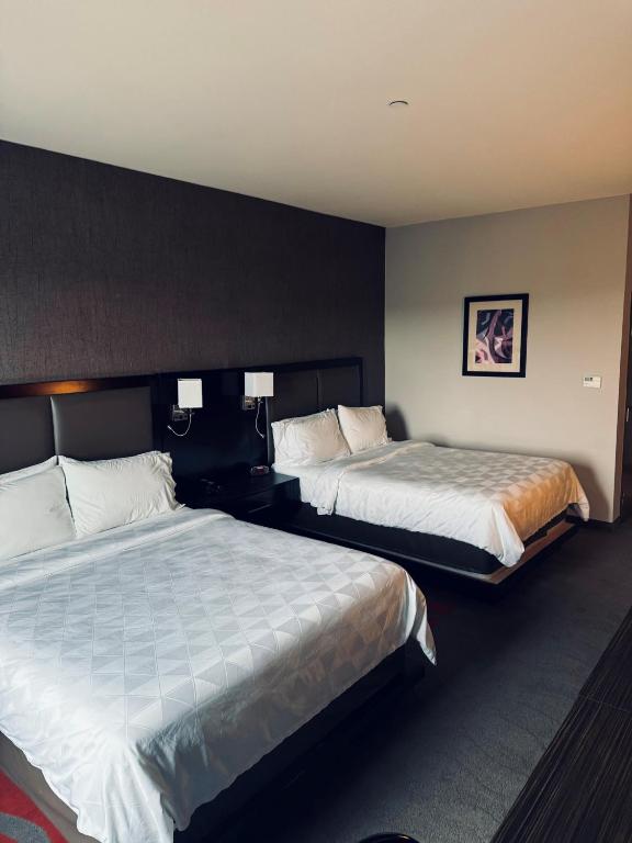 Holiday Inn Houston West - Westway Park, an IHG Hotel - Sala De Reina Estándar Con Dos Camas Queen - Comunicaciones Accesibles