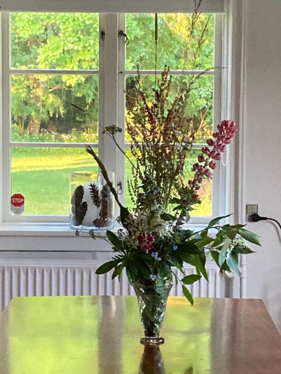 Fotografie z fotogalerie ubytování BnB Skovhuset v destinaci Ringsted