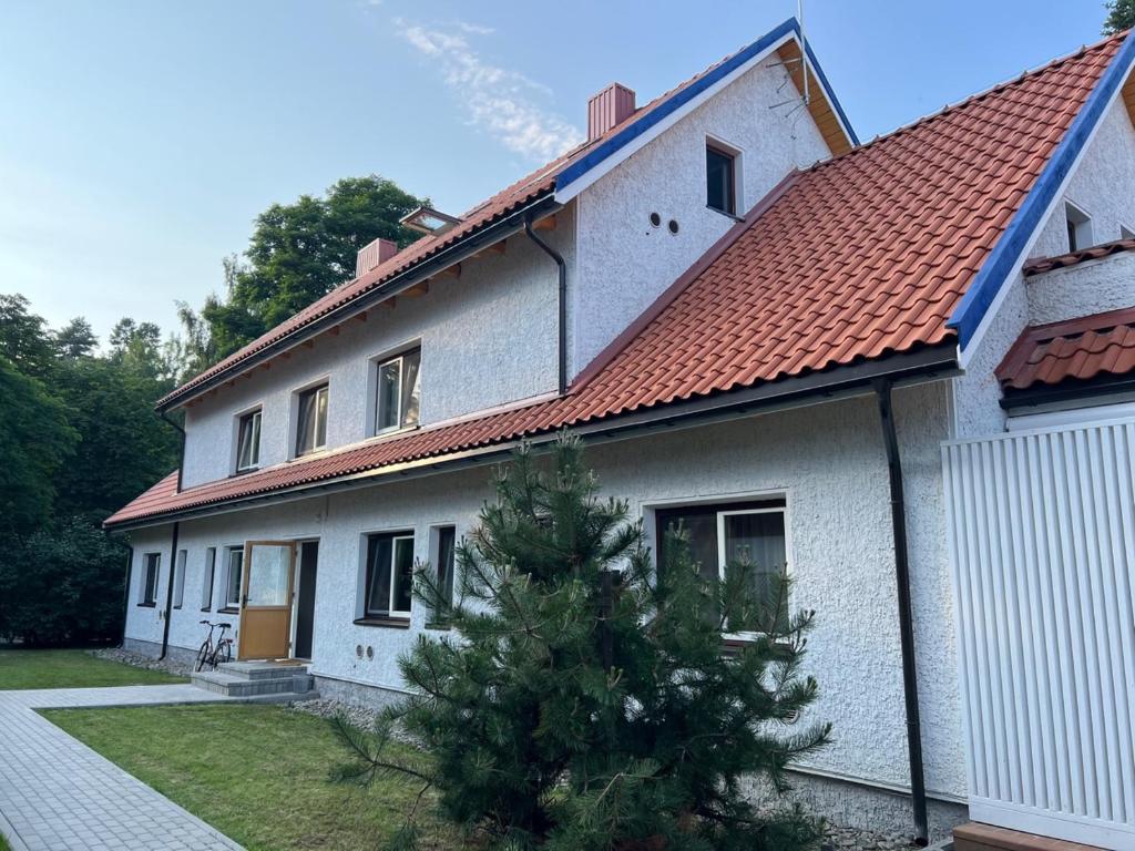 a house with a christmas tree in front of it at Nidos Baltija in Nida