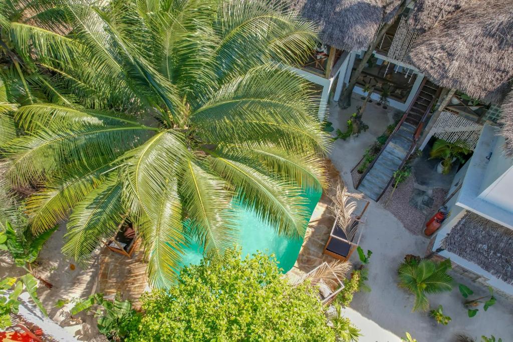 an overhead view of a palm tree on a beach at Ocean Boho House in Jambiani